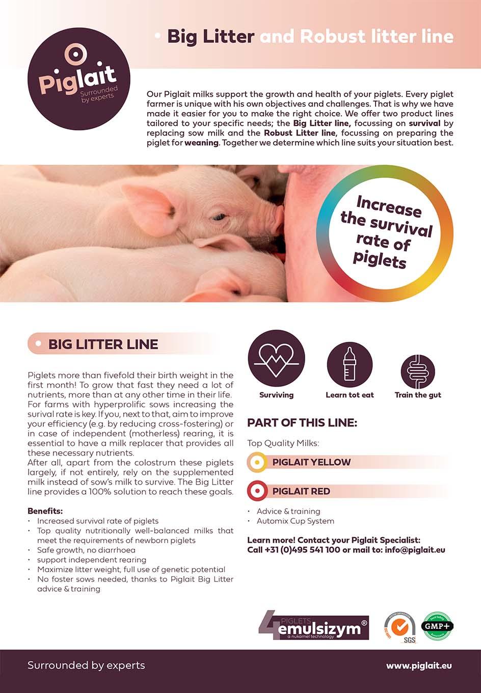 Brandle and Nukamel & Swinco Services: branding, graphic design, packaging.
