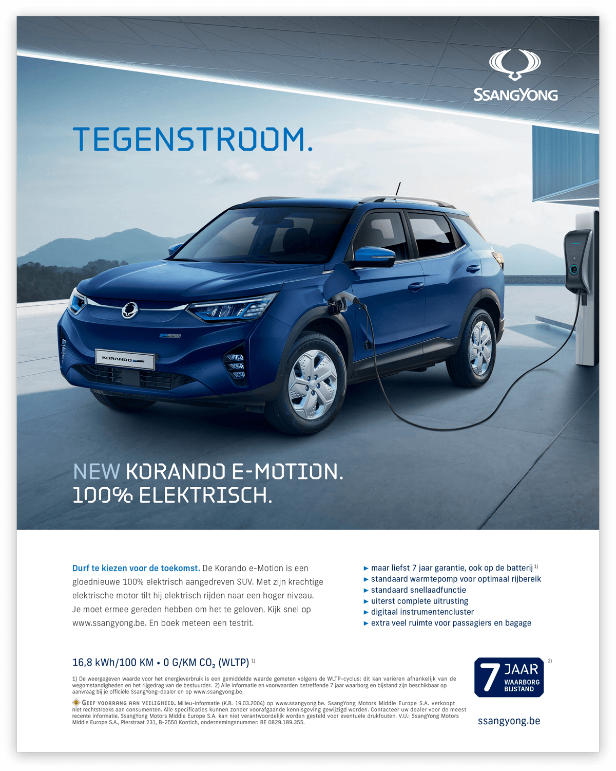 Brandle and Ssangyong Services: Graphic design, web design, copywriting, digital marketing, print