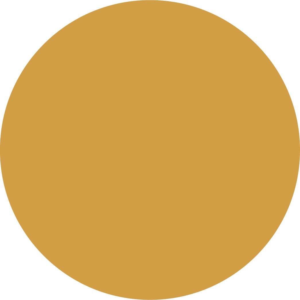 Brandle and Norta bikes Services: Graphic design, web design, copywriting, photography, print.