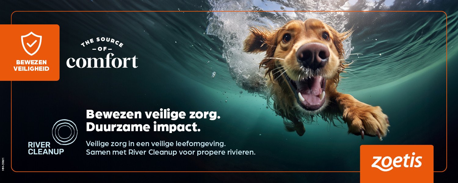 Brandle - Opmaak en design banner voor Zoetis River CleanUp Promotionele banner met een foto van een hond die onderwater naar de camera zwemt. De poster bevat informatie over ‘Vera Icon Day’ en de samenwerking tussen Zoetis en River Cleanup, met tekst over bewezen veilige zorg en duurzame impact.