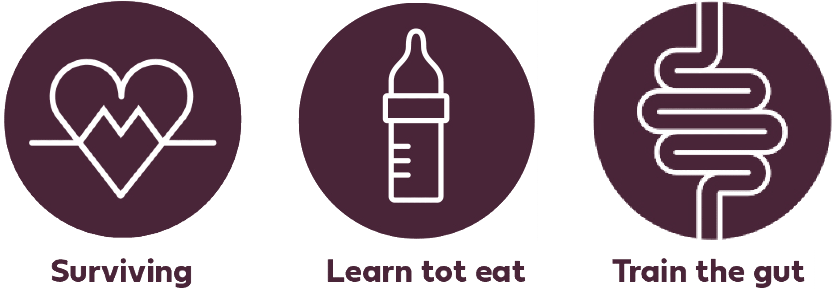 Services: branding, graphic design, packaging.